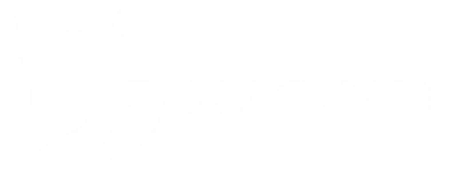 Blackbird Care Automotive Store